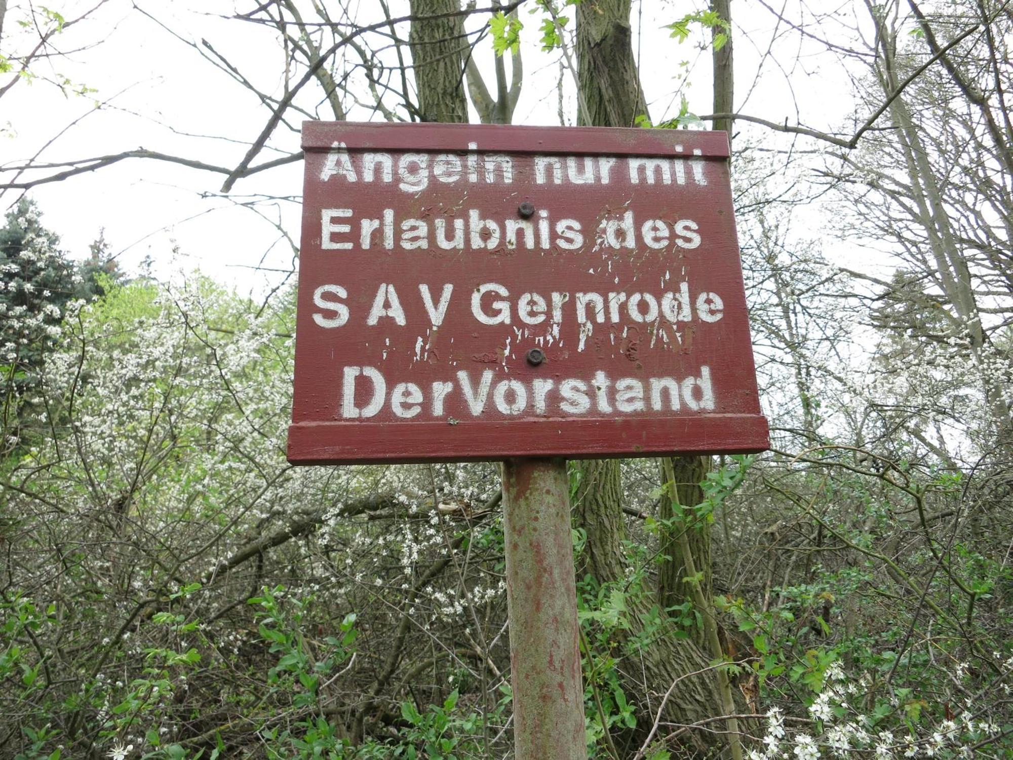 Bungalow Am Osterteich Gernrode  Luaran gambar